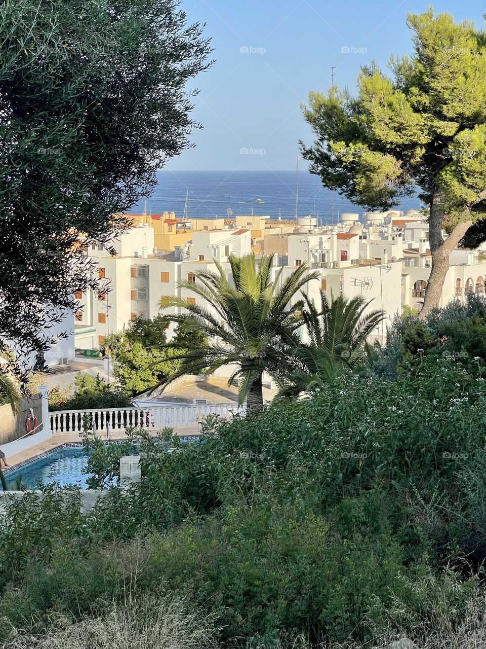 Santa Eulalia des Riu, Eivissa, Ibiza island, Spain, view from the hills of white washed city and sea with palms and Mediterranean vegetation