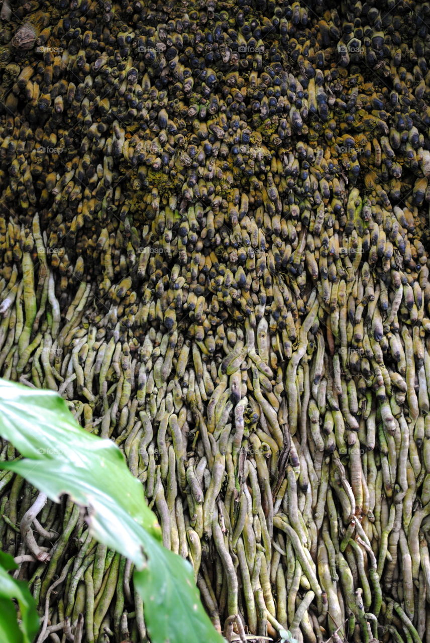 Beautiful mother nature