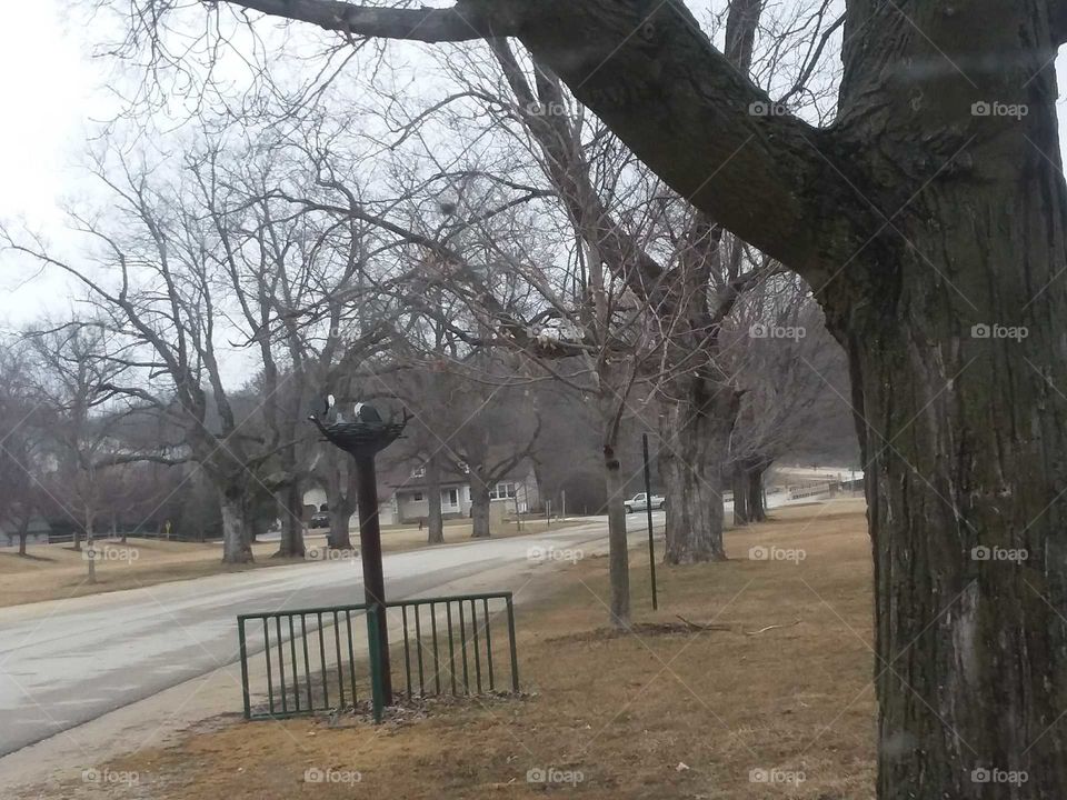 another angle of same not real eagle nest