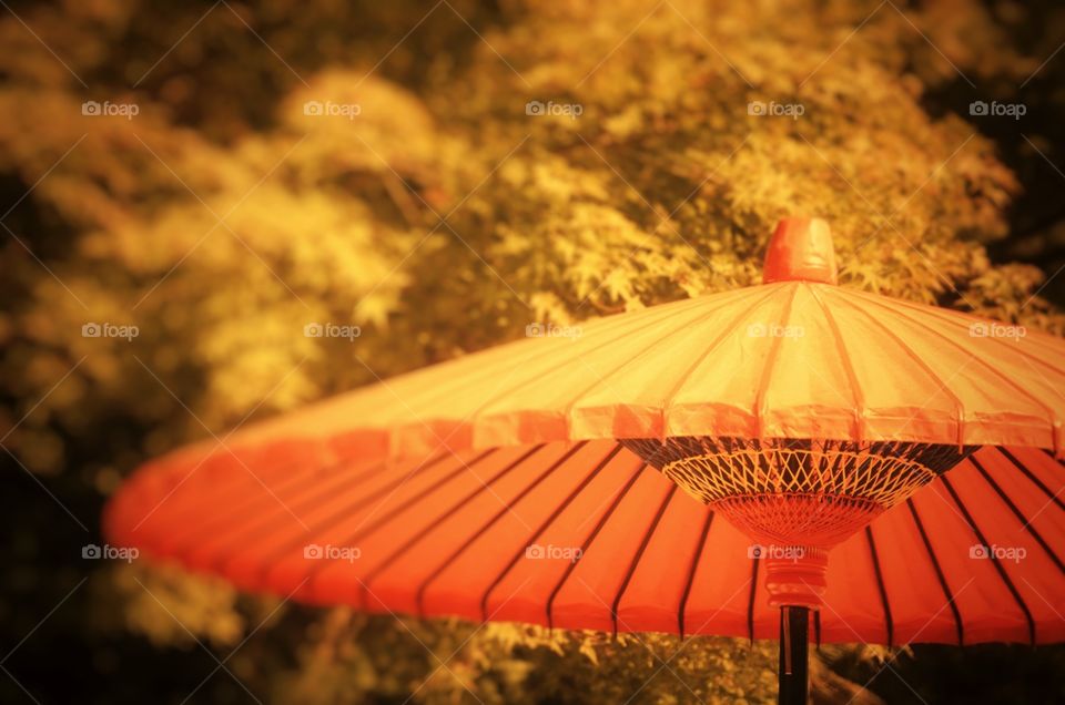 A Japanese sunshade