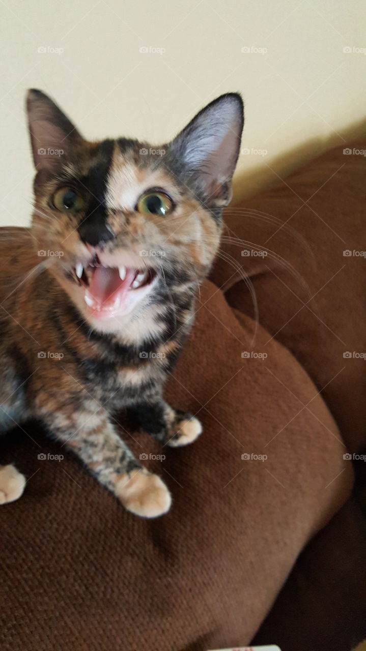 "this is my smile!..."