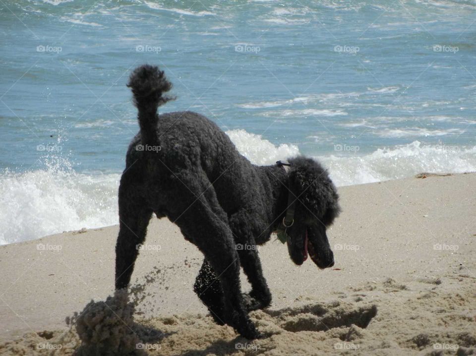 Easter day on the beach