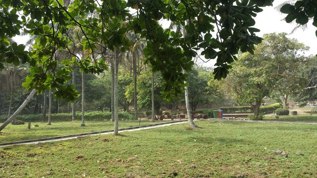 school surrounding