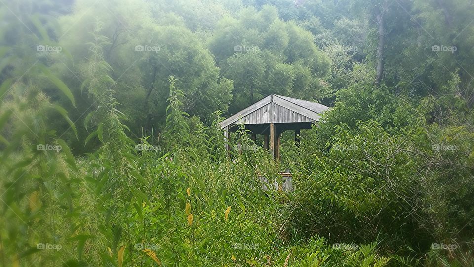 Getaway. secret getaway in nature