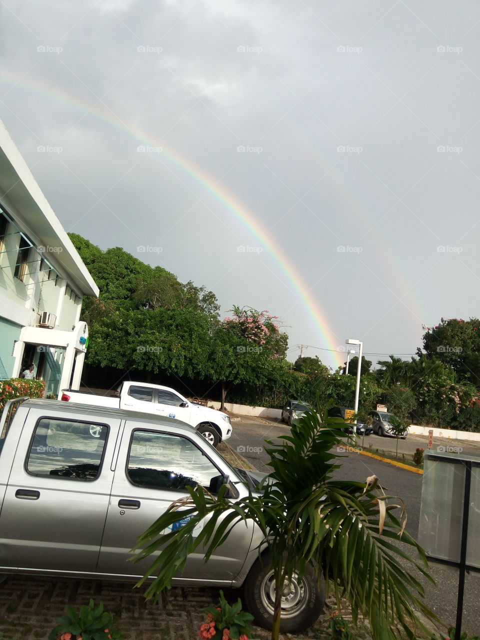 Landscape, Storm, No Person, Rainbow, Tree
