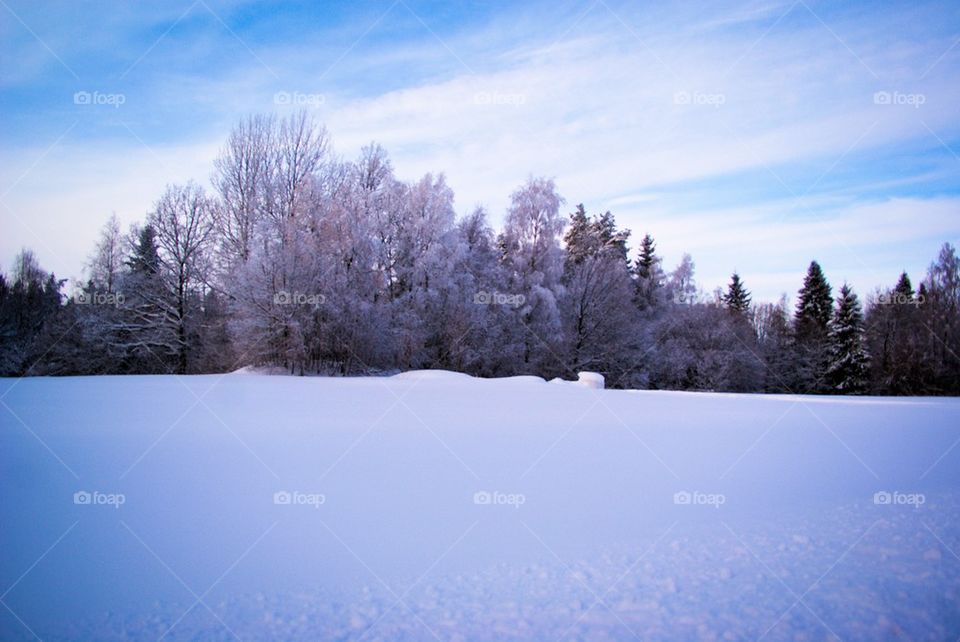 Scenic view of winter