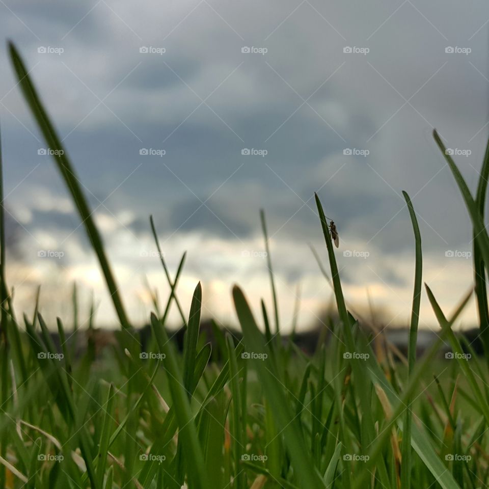 Welcome Spring . Dropped my phone and it took this amazing picture!