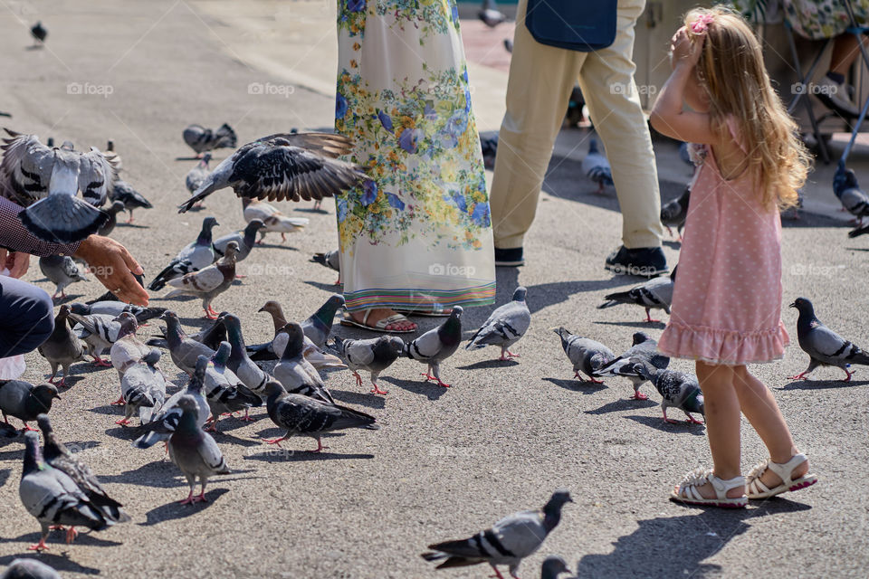 Feeding Pigeons