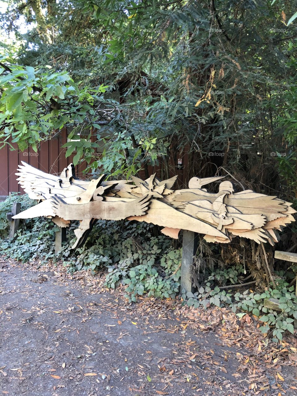 Art at Muir Woods