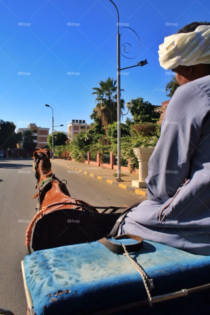 A horse ride in Egypt