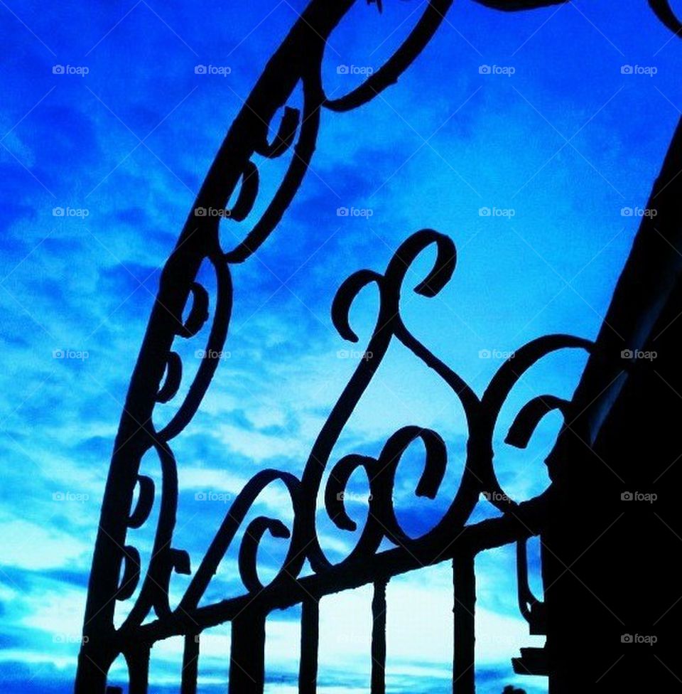 My back gate at dusk