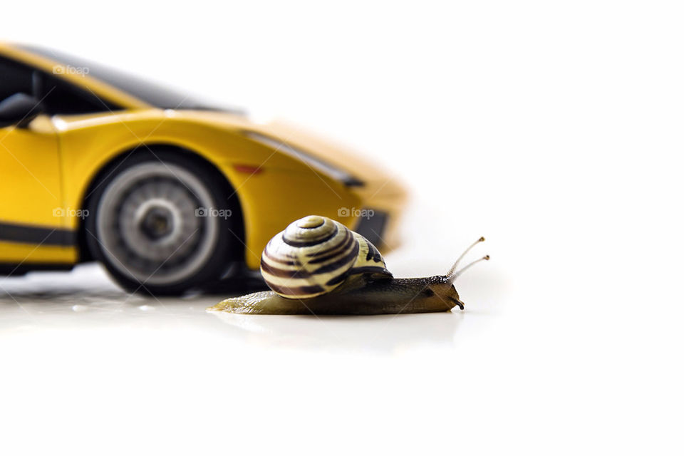 Snail vs Car