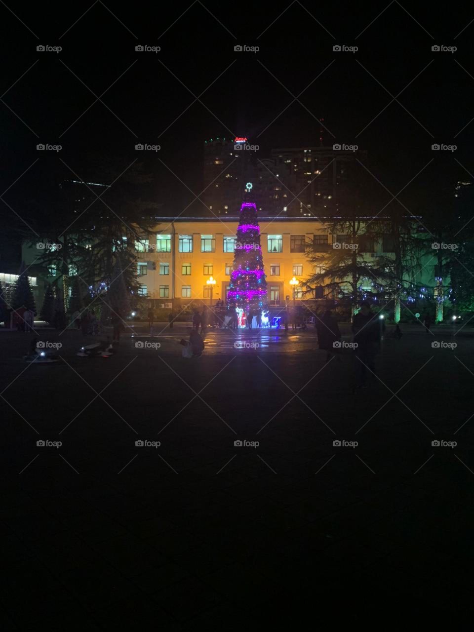 Сочи декабрь 