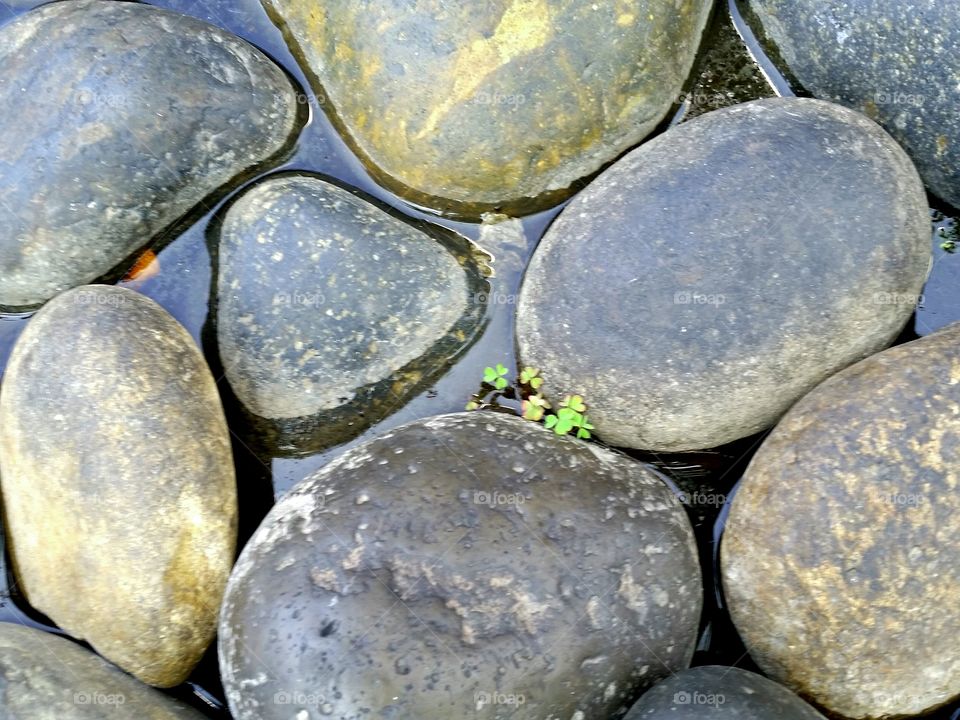 Landscape rocks in California. Recycled water and rocks  being used in California's gardens.