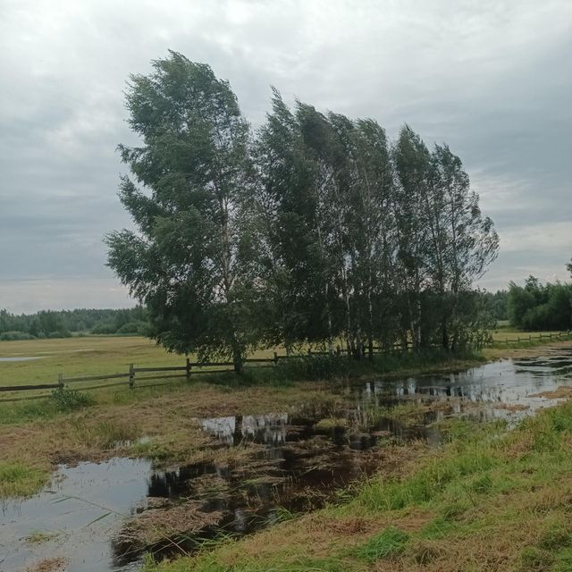 after storm