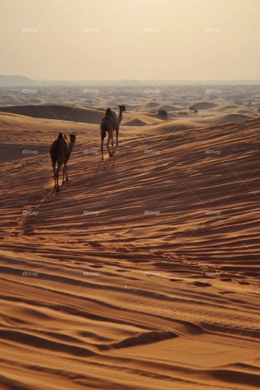 To infinity and beyond