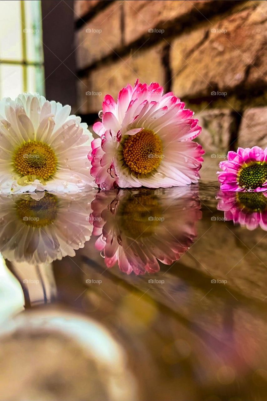 Flower reflection !