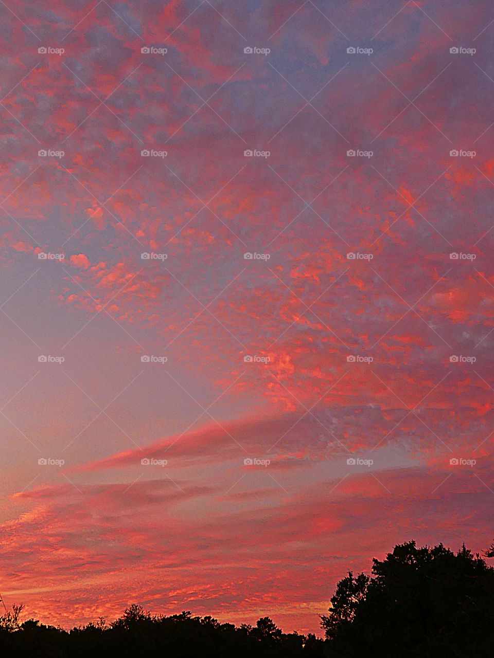 Beautiful pink swirling clouds cover the sky at sunset as a weather front moves in