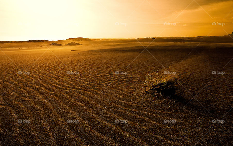 sand dunes