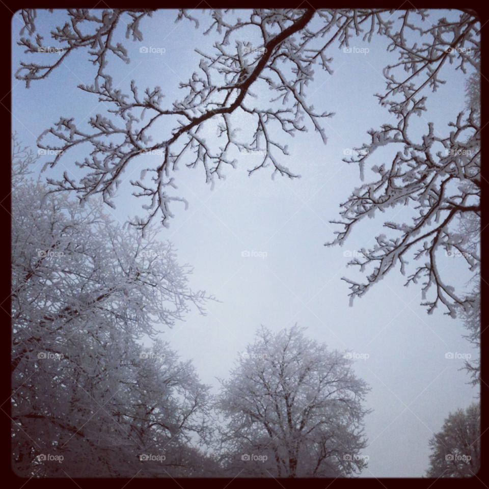 january christmas sweden snow by Titania