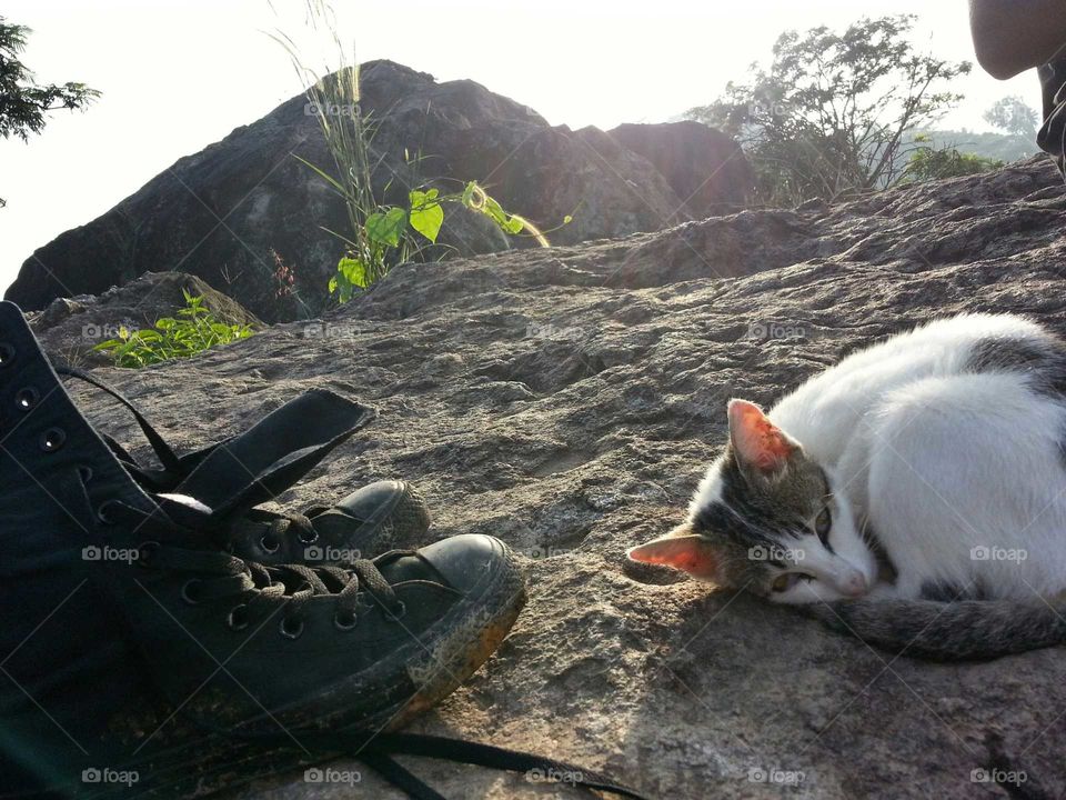 my boots and stray cat