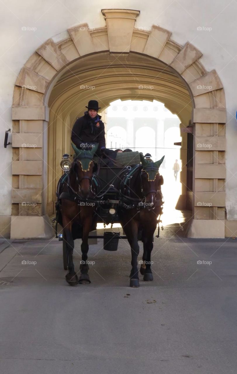 Carriage through tunnel