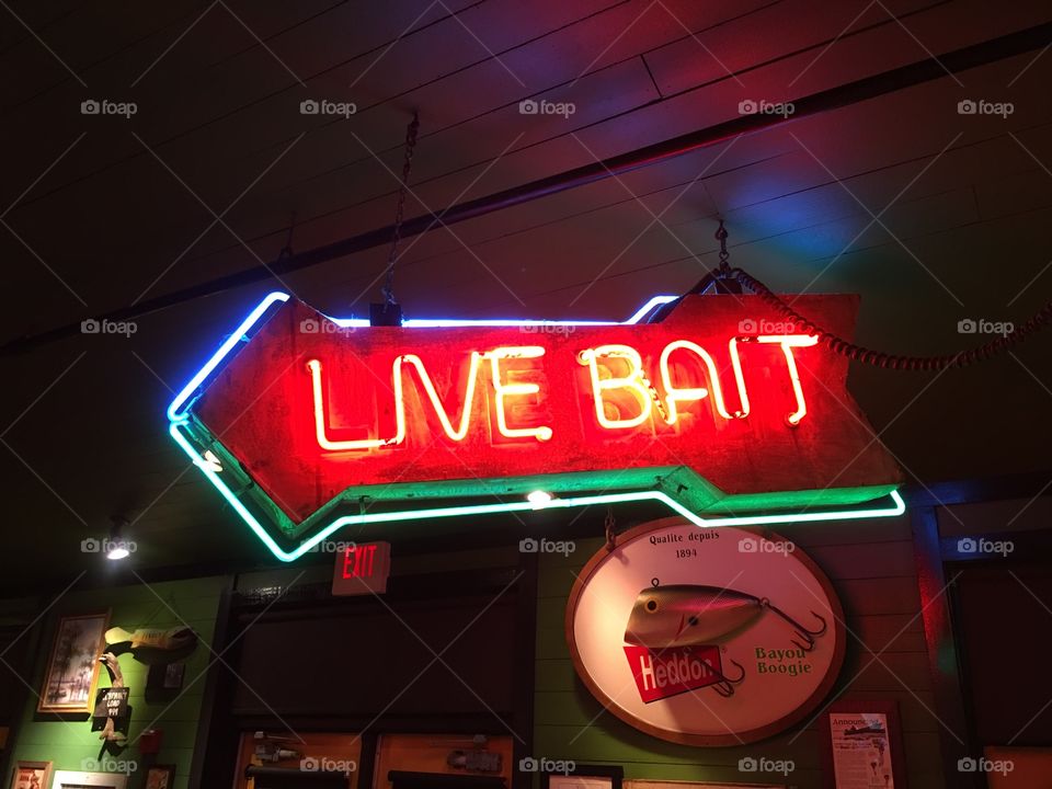 Live bait neon sign