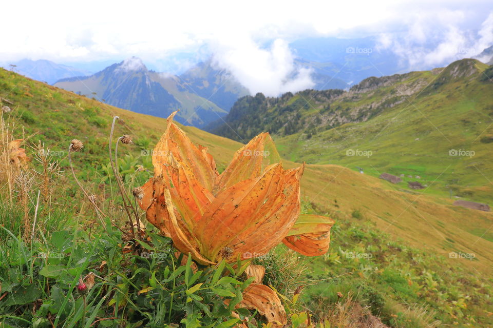 Autumn in the mountains Rochers de Naye, Montreux