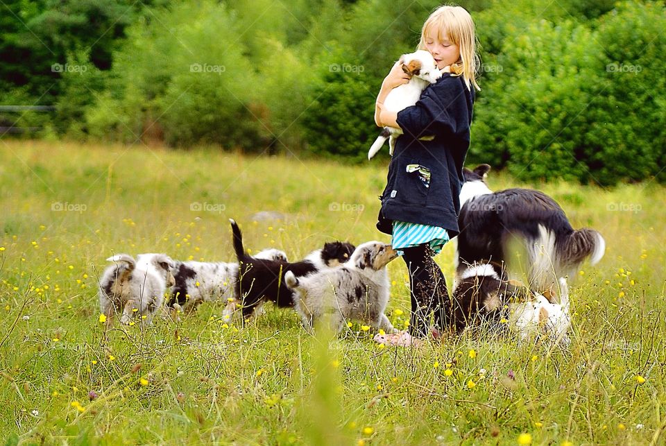 Girl on a field together with dogs