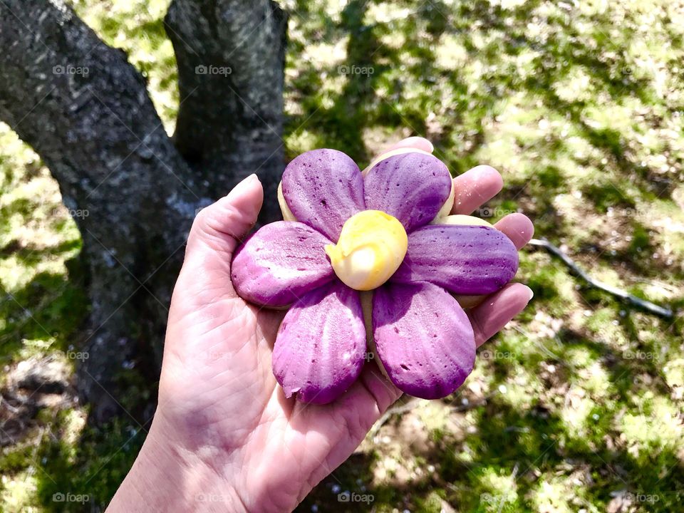 Purple Flower Cookie