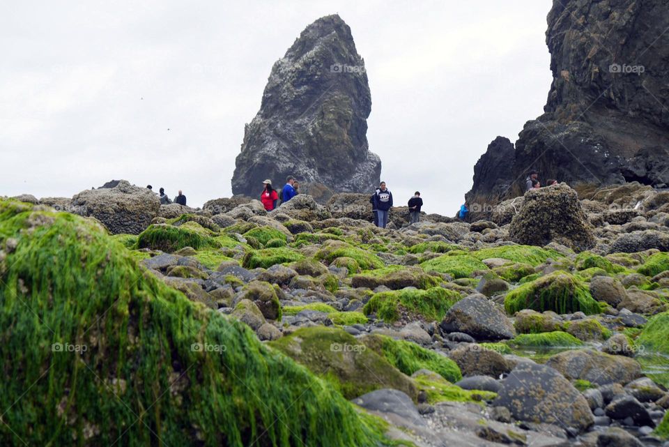 Exploring monolith at low tide
