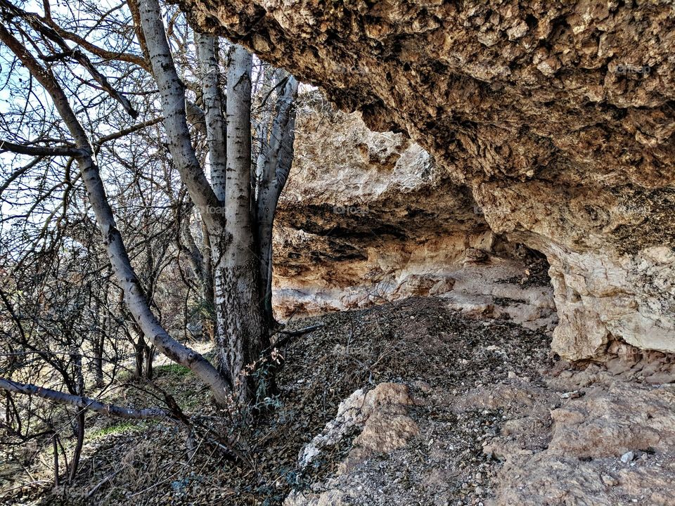 Nature Walk