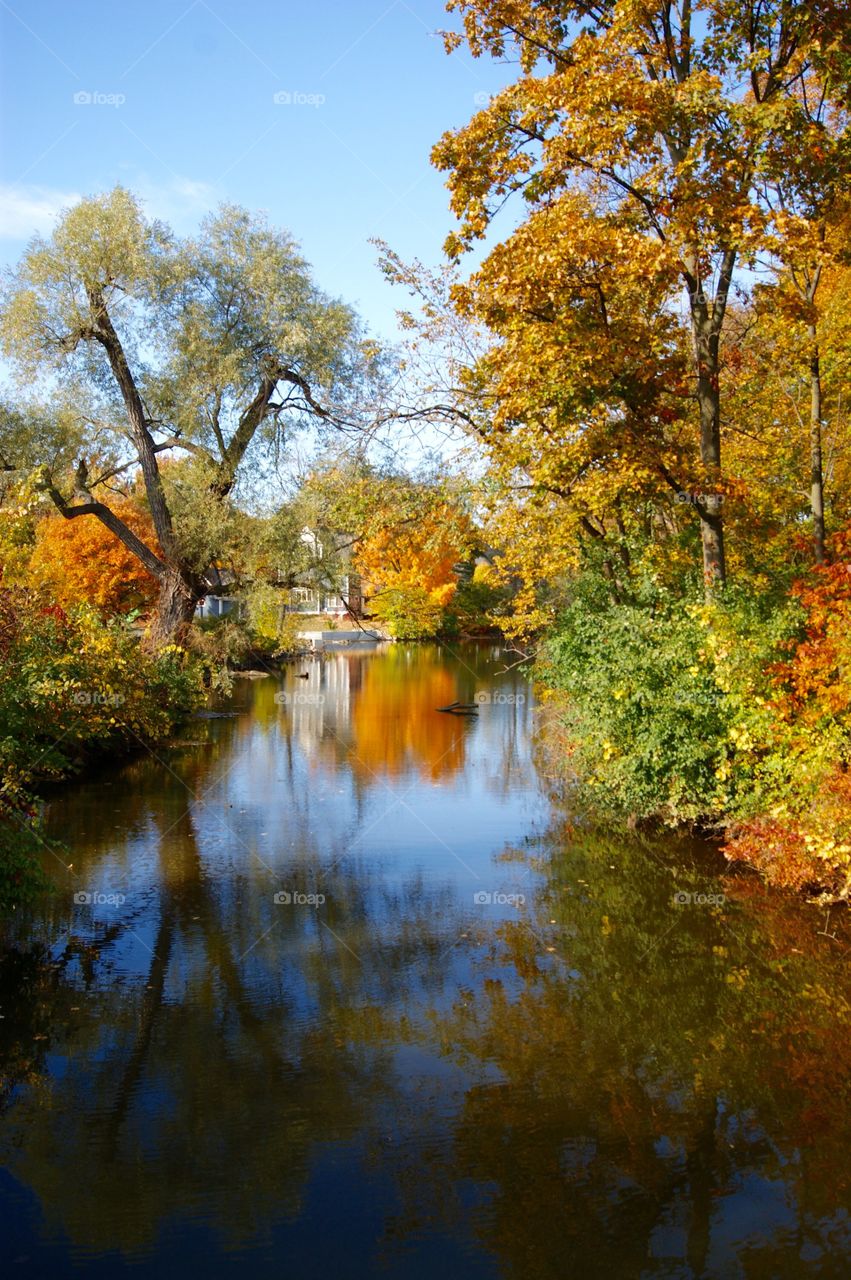 Autumn trees reflecting in lake