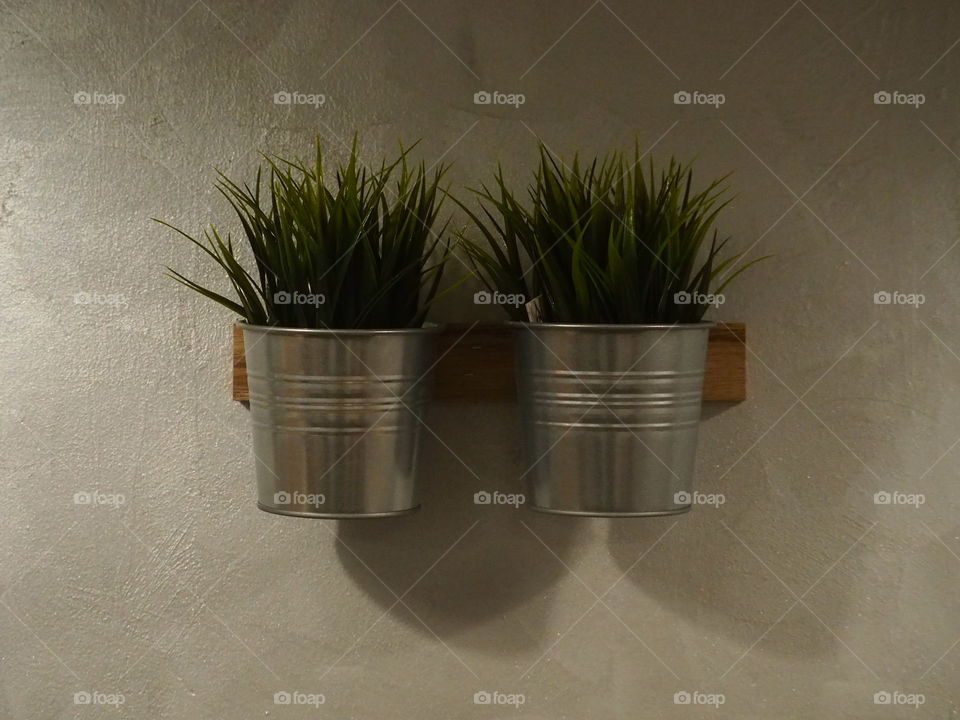 Wall mounted plants