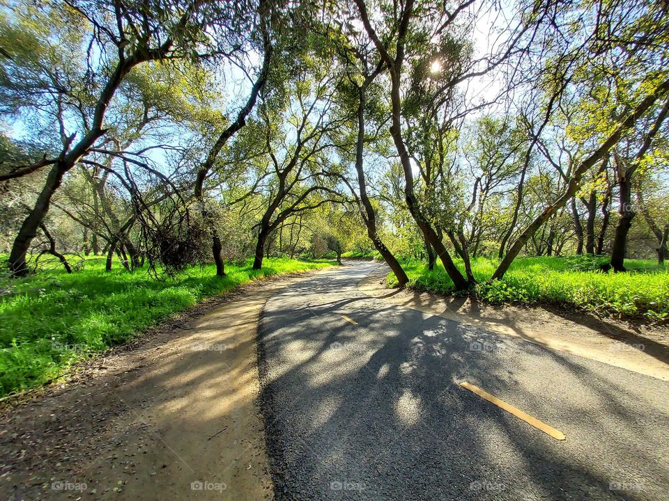 A walking trail 👣 through the woods in the city of Fair Oaks California