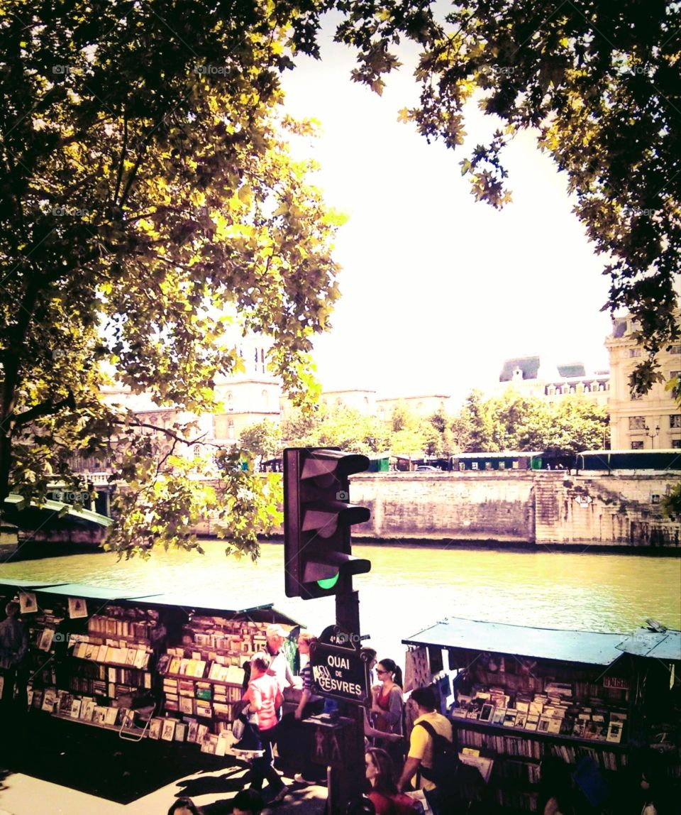bookstore on a sunny afternoon