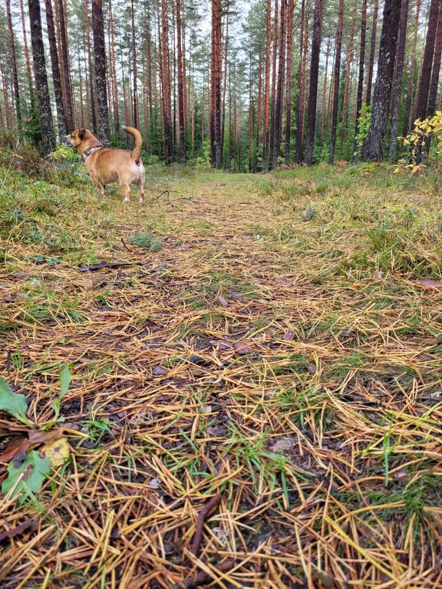 nature