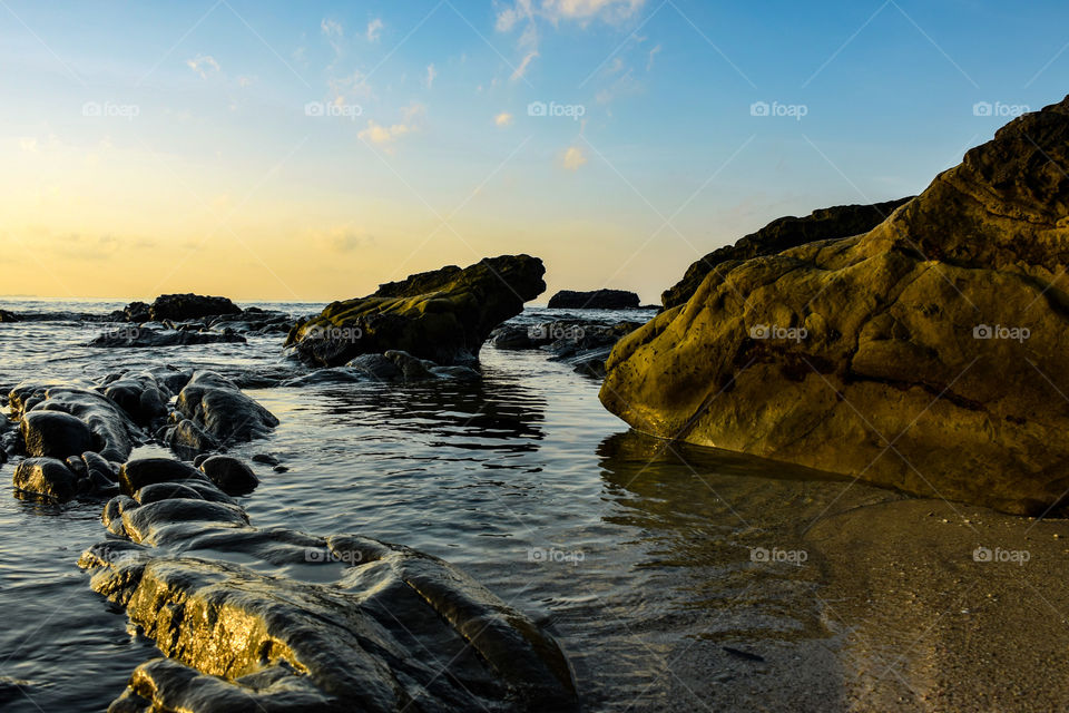 Beneath the golden sky