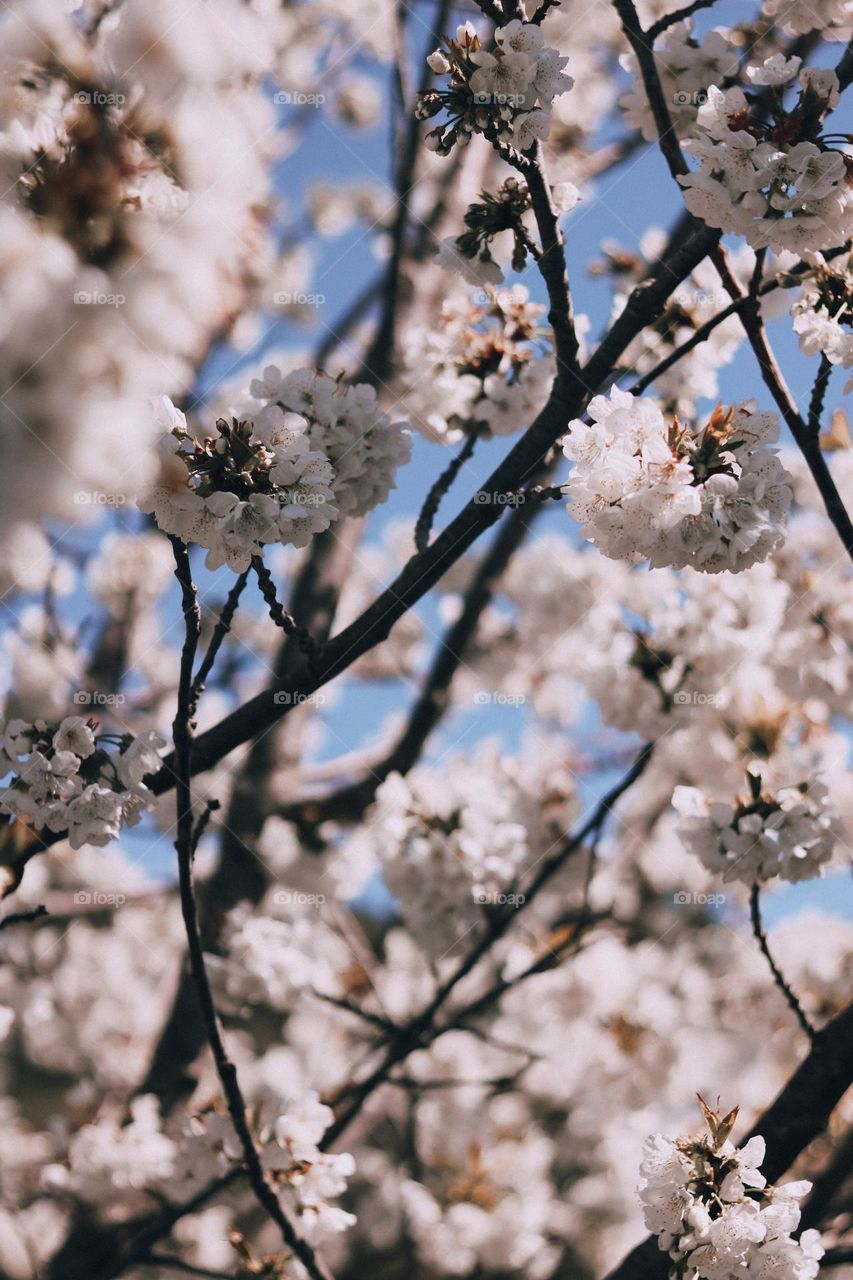 Dare to be different.  Each color in this photo will be experienced differently by each of us.  How beautiful life is.  Is it?