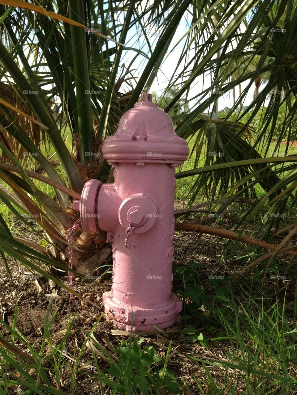 Fire hydrant