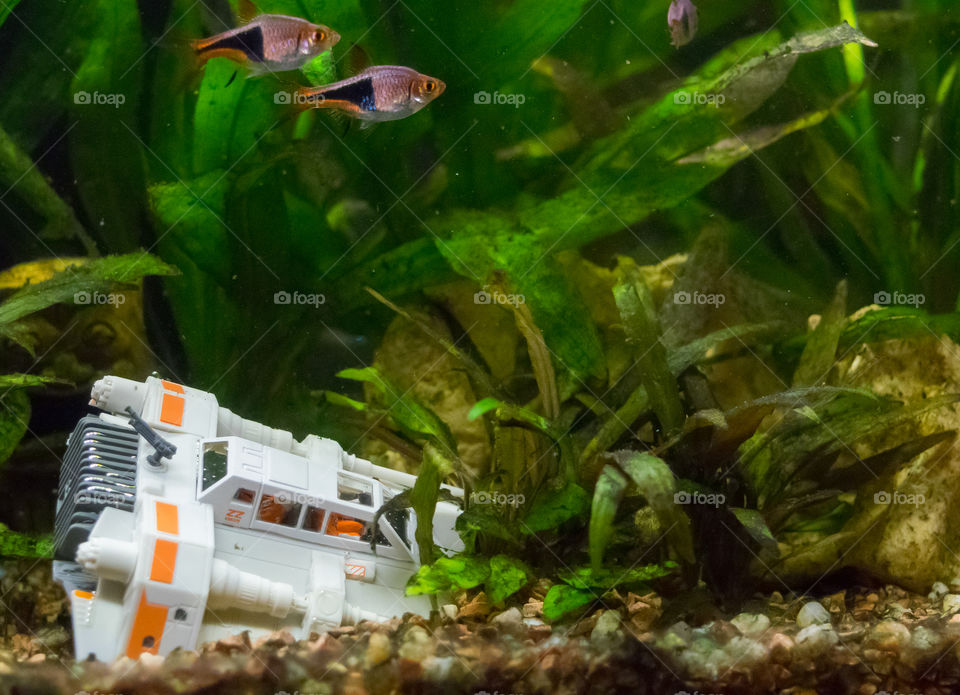 My speeder crashed in a sumerged world