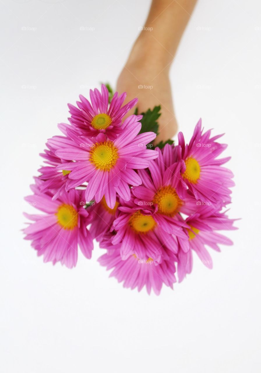 pink flowers for you