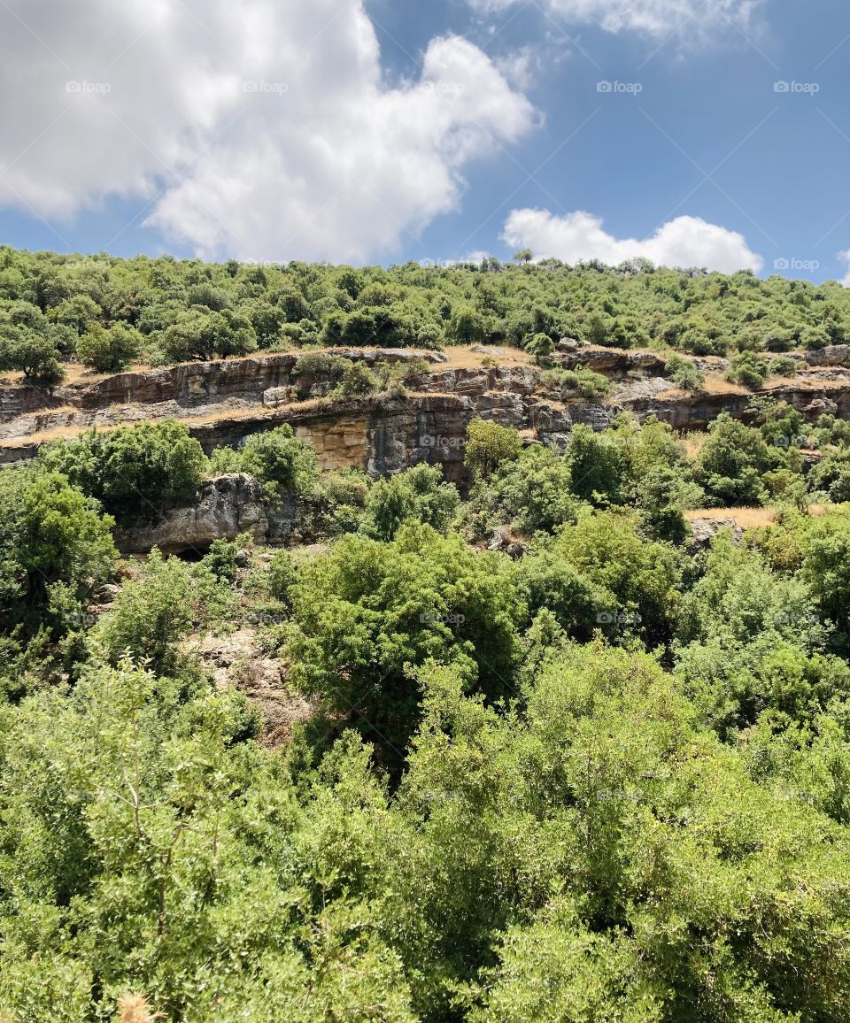 The beautiful nature of Jordan