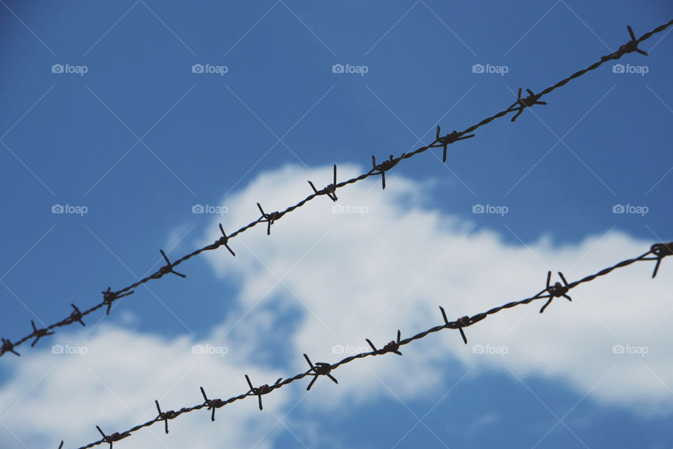 Barbed wire with blue sky and white clouds in the background. Concept for prison, freedom, salvation, Refugee, lonely. Copy space for text.