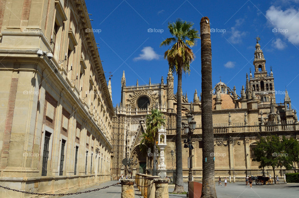 View of Sevilla cathedral and La Giralda tower, Sevilla, Spain