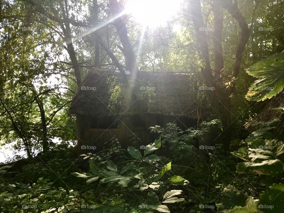 Old abandoned house in the forest. Sunset 