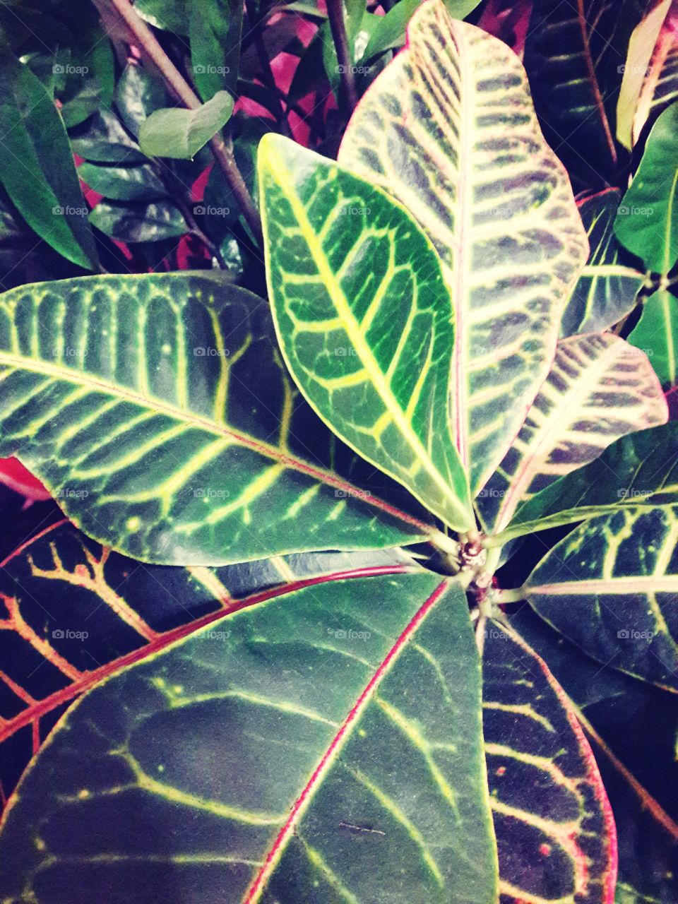 #sky #blue #mood #evening #night #instaday #instapic #bestofthebest #dramatic ##sculpture #building #instacity #city #town #russia #spb❤️ #spb #architecture #white #day #dayoftheday #black#shadow #light #sunray