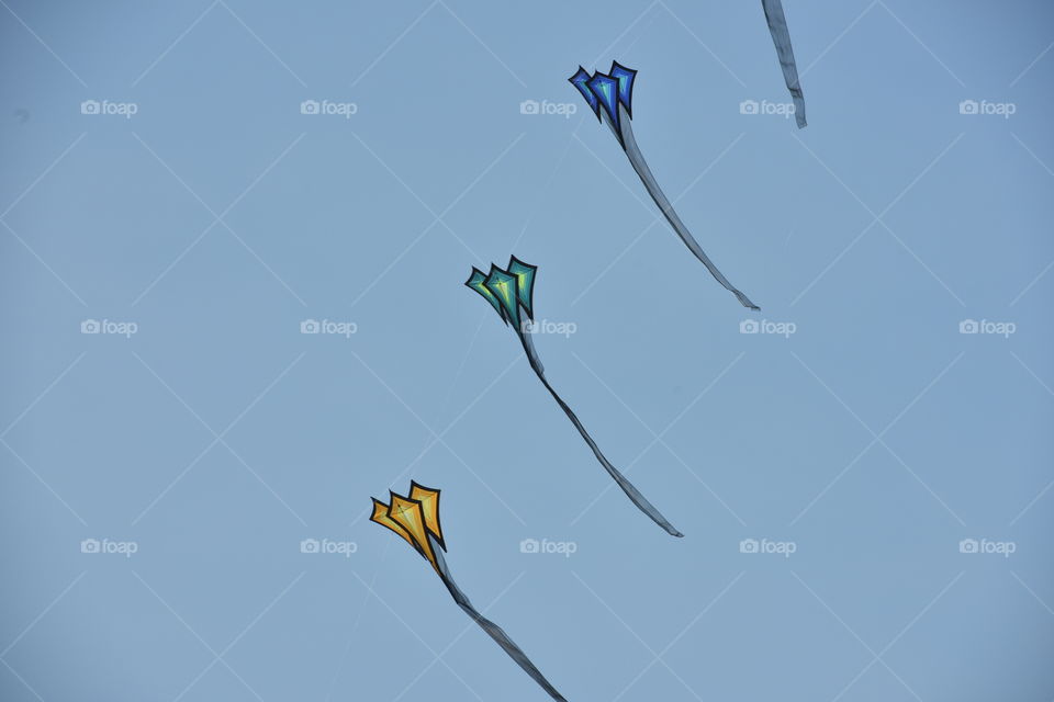 Stringing multiple kites together.