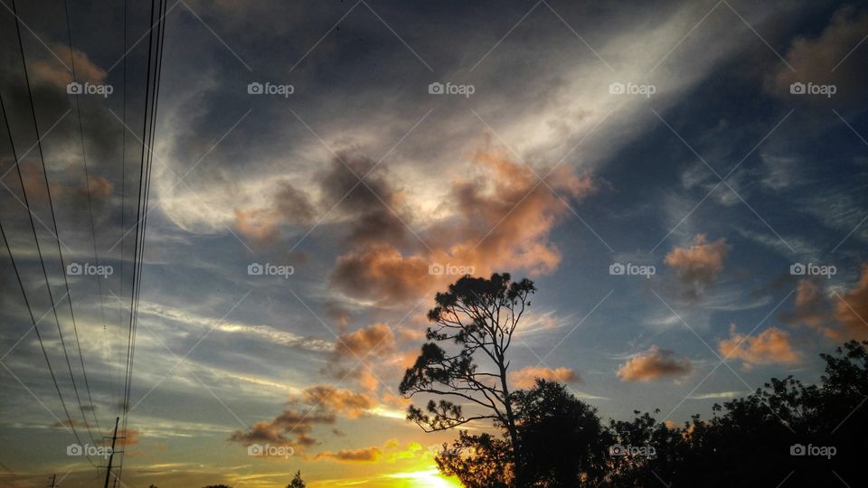 clouds and trees