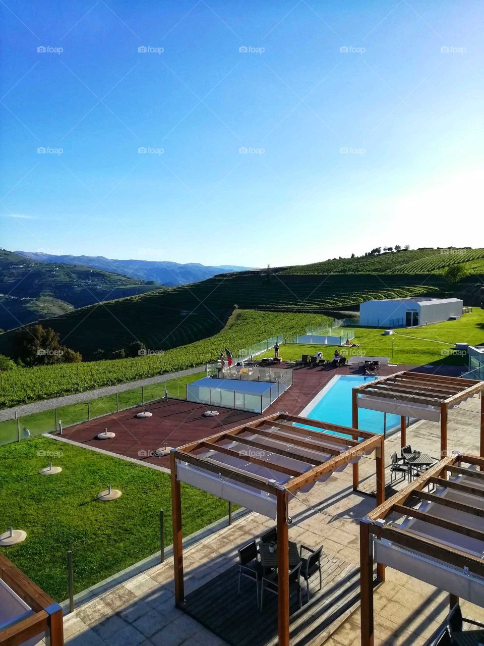 View of the Douro vineyards; Douro Scala Hotel